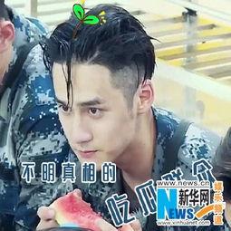 娱乐吃瓜头像图片大全男,男生娱乐吃瓜头像大盘点